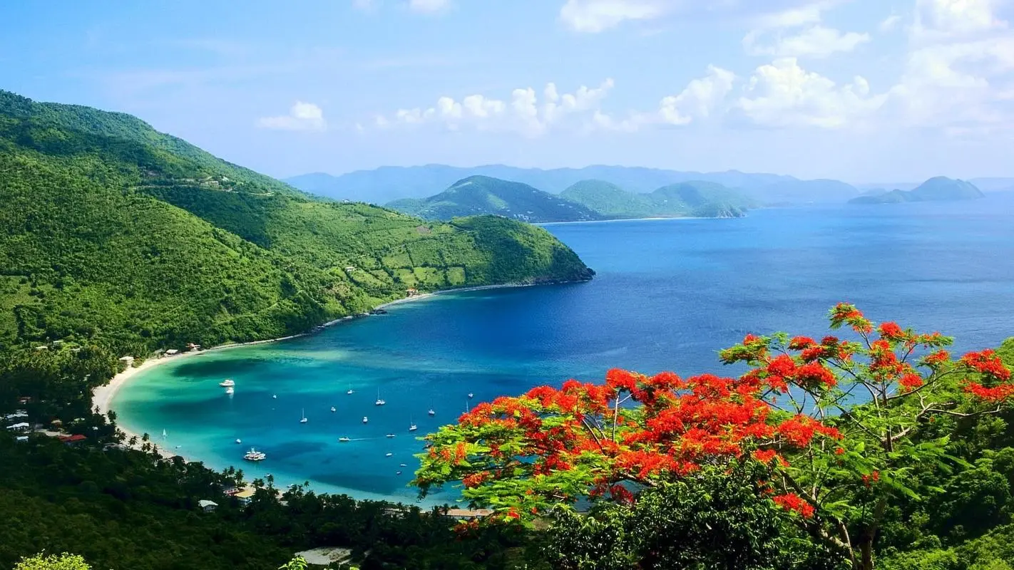 网络化节能高标准